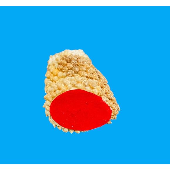 Vintage Sea Shell Owl Beach Art Figurine Google Eyes Ocean Kitchy MCM 5” - Picture 8 of 8